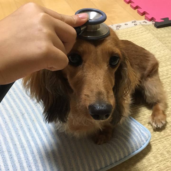 C2a9fad9 847a 4108 9c9c afc97892f031