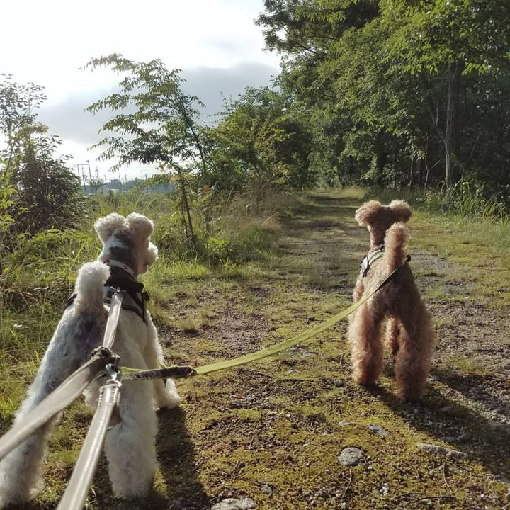 C2aa0286 3118 4fc6 9ca3 ee15045bdb21