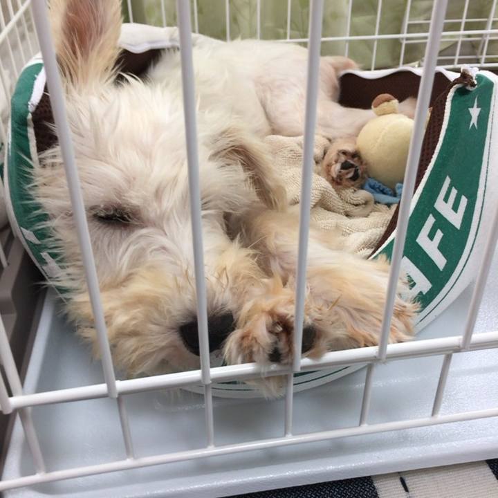 C2aa1b3b 8221 44c1 bede 56b2e8adf05a