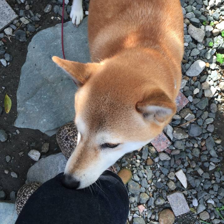 C2aab37e 8f5d 402b 9804 df4ecb1cc9fb