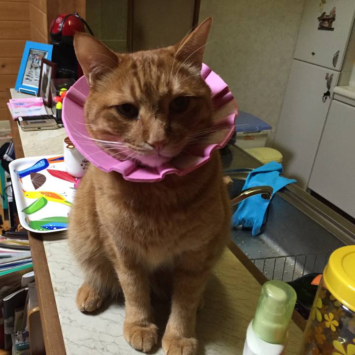 C2aac404 f925 42d9 95eb 8c152738cd43