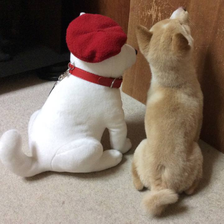 C2aaf8bc 3975 4b0f a753 5b03b83b033e