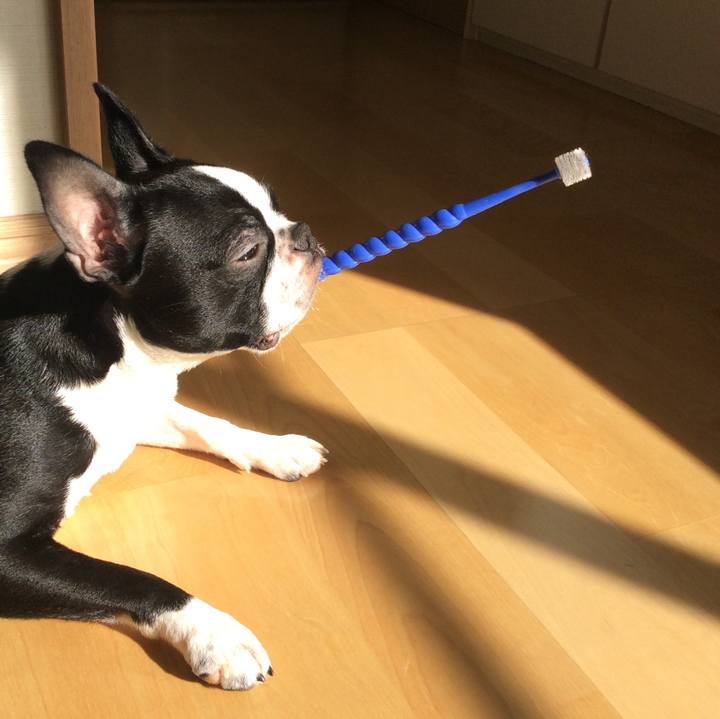 C2abd11e e9b5 428d a2a9 dd2161f612e9