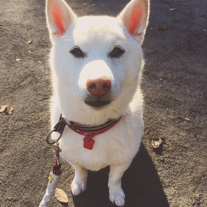 C2ac6cda f810 4f19 a3b5 a6f610f36b23