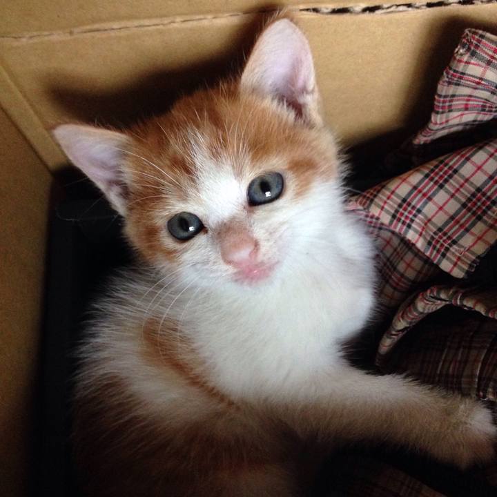 C2accdb5 e372 4a1e 9f46 f4900d2bdc78