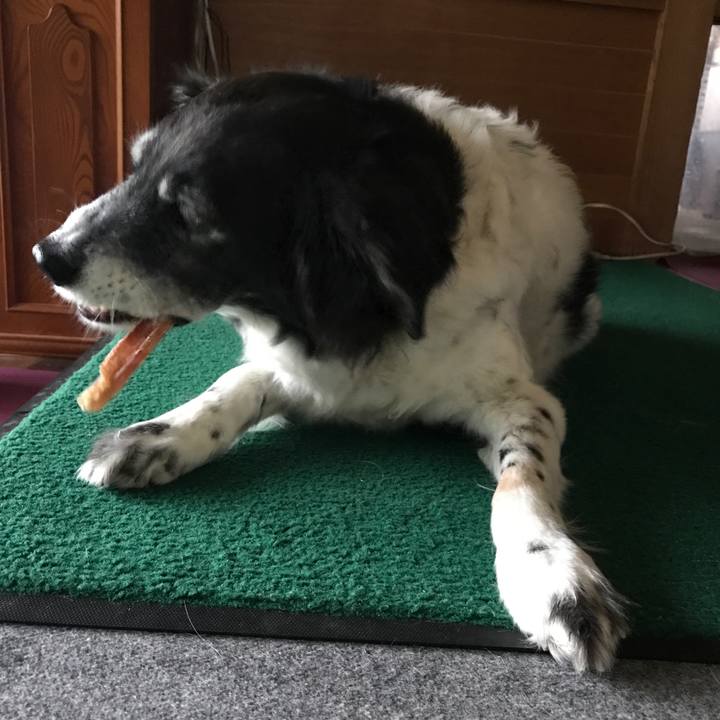 C2ad1707 9e3b 4b39 9121 6135ab0d1ecf