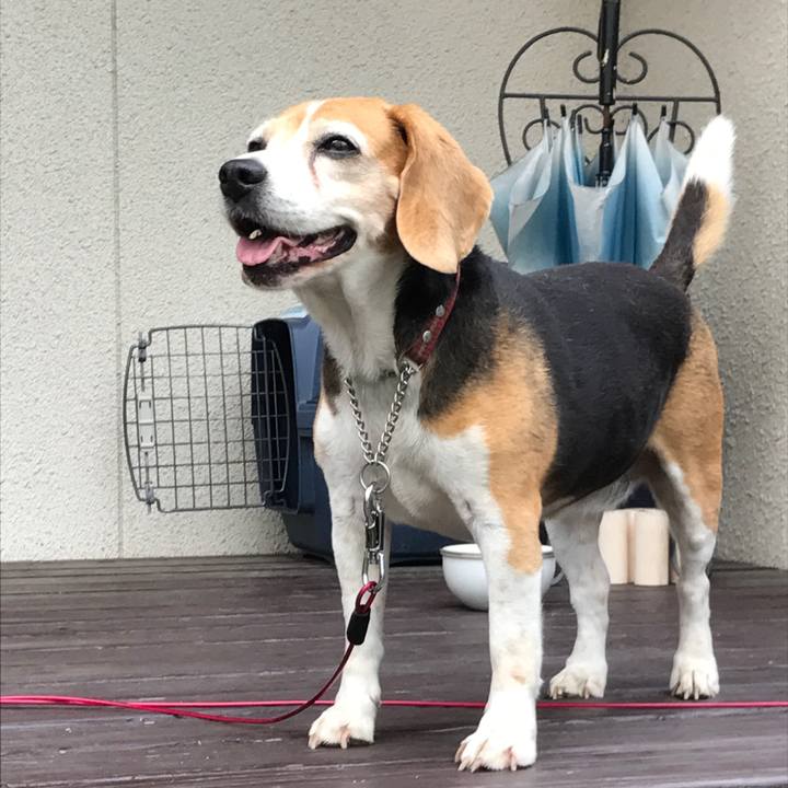 C2ad50be 1f9d 4e08 903a c110909dd4b8