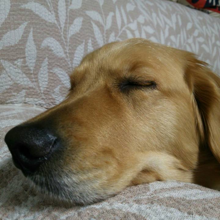 C2adacd3 a2d8 491b 8cf6 132827972458