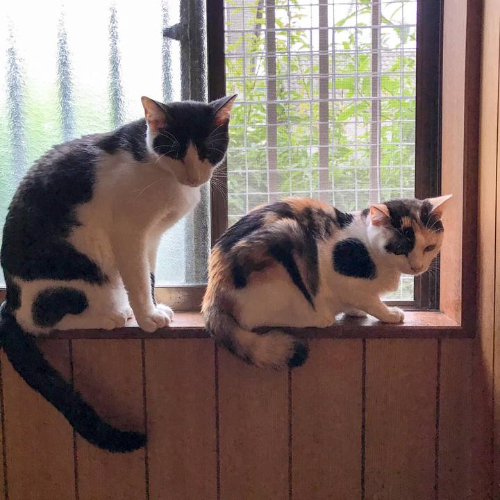 C2adeb77 d3f4 43b4 96a5 cb3b918f6b27