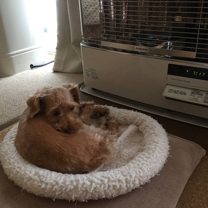 C2adf6a0 ae27 48f3 a714 7579f6e4934f