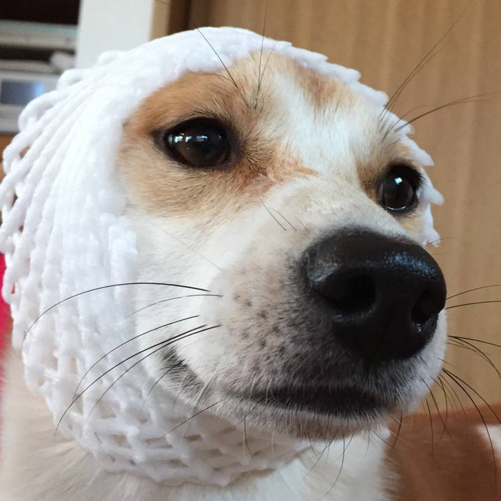 C2ae1107 8257 4aca 9f6e b45b510c977b