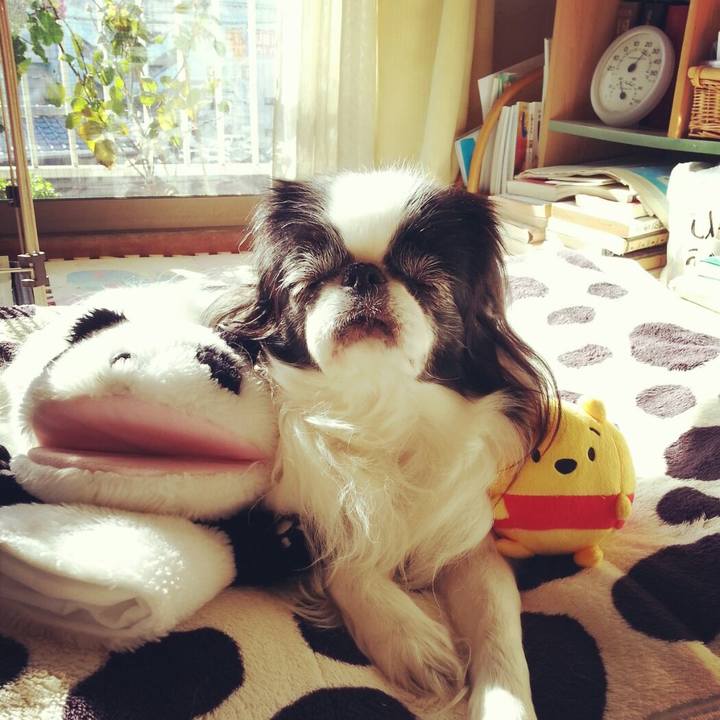 C2ae9439 b345 428f b108 c4b8bf603053