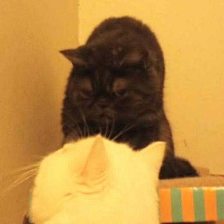 C2aecd4f b8ec 49d6 b868 7adbd9473efc