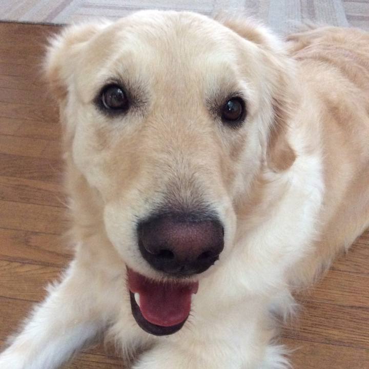 C2aeef1b 2455 4299 bdc4 e784f0545f7e