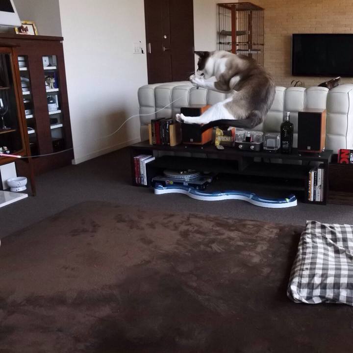 C2b00f64 03ef 49b5 9df4 9d55c7945eea