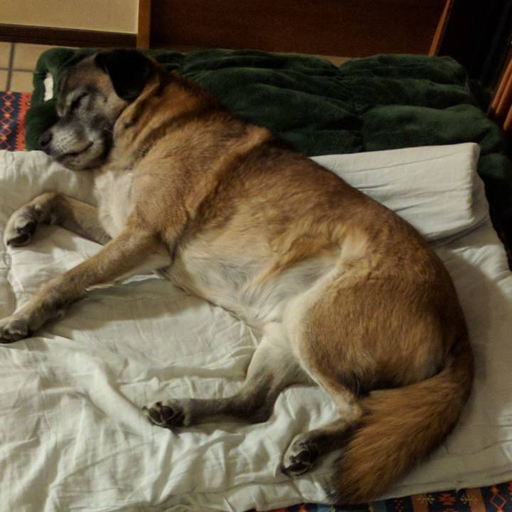 C2b067fb 83cd 49f0 885e 812a2829bf89