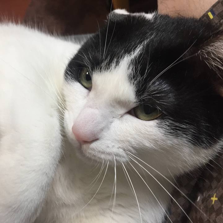 C2b1b4d6 fbec 4d70 b4bf 6bd6856627c5