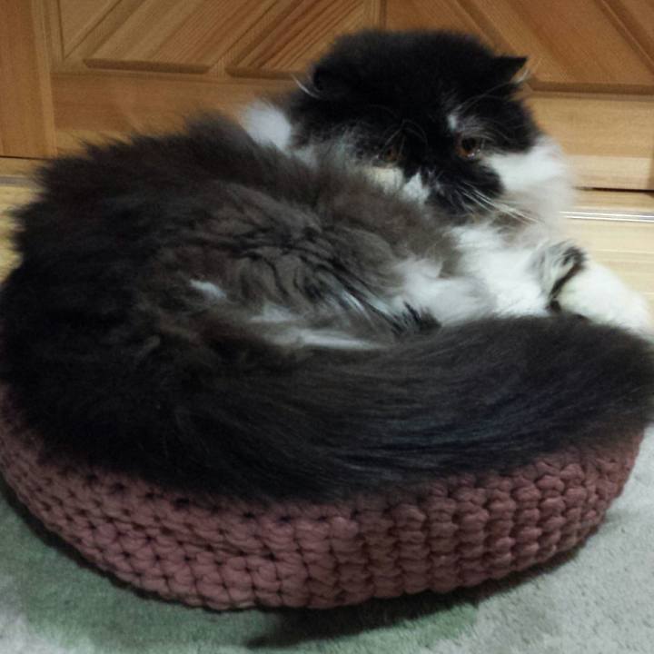 C2b22069 b297 4b61 87ea e2cb23cb6c64