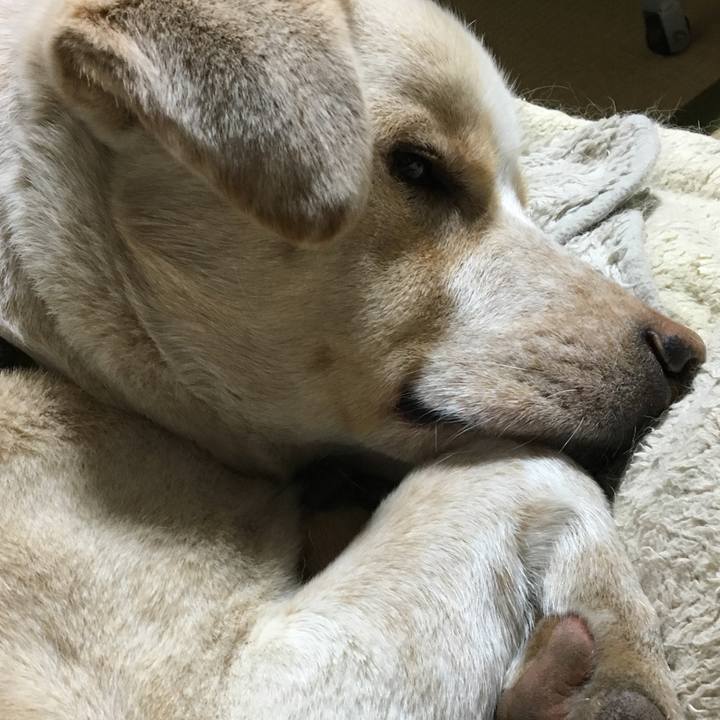 C2b264b0 3ca5 4f79 b141 d8e2cbeacd97