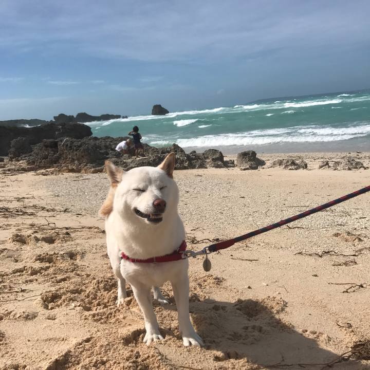 C2b26f84 1089 4bce b6da cd1c43387955