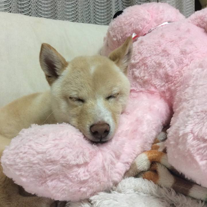 C2b2bd37 6531 4fa3 aca4 c8d6f00731b1