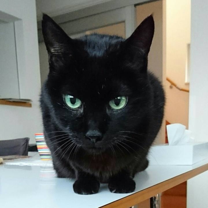 C2b32980 81d6 4d80 b7a3 d294387ec2d6