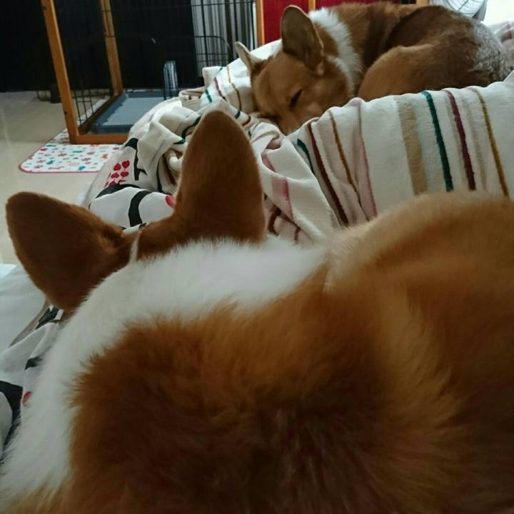 C2b37bf3 5166 4019 a23e 72801783835a