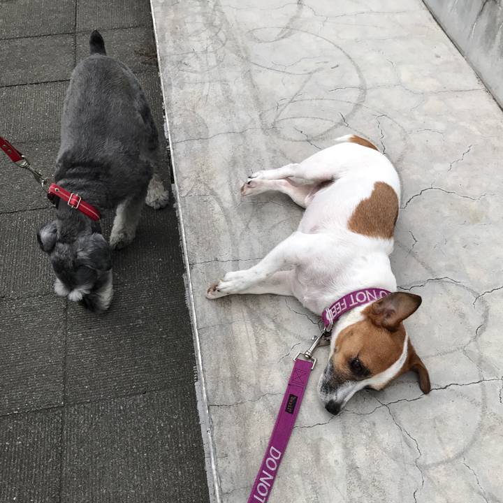 C2b391d2 4b80 401f b17d 718b9c627b0e