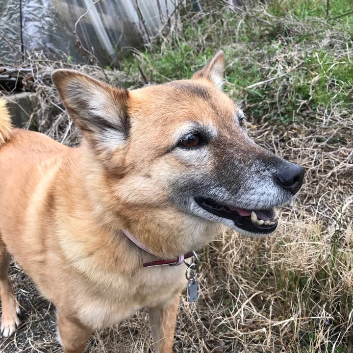 C2b457ca b2f0 4a0d 981a c948b8f480e6