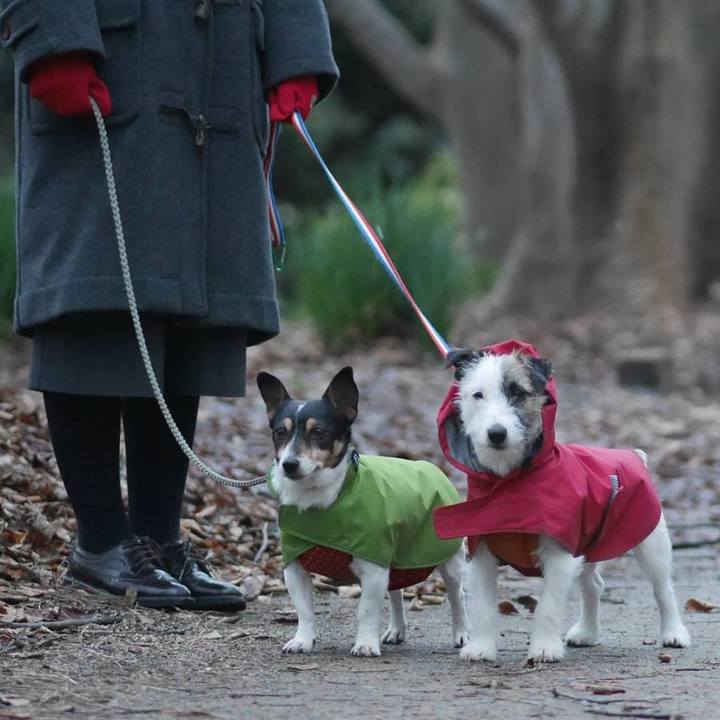 C2b4f465 7696 4f24 b61c 5b82063ecd73