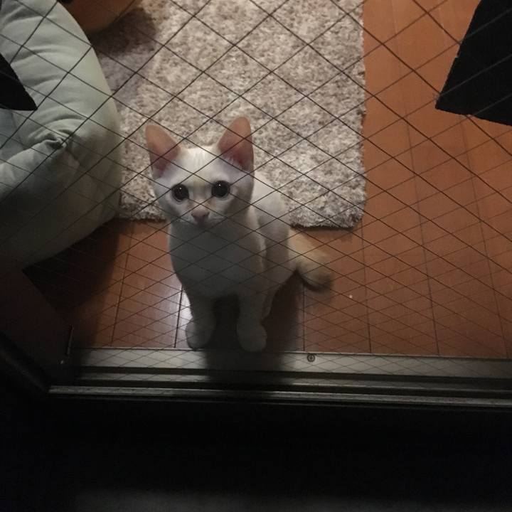 C2b5bbbc f861 40ce a933 a1439d2135c0