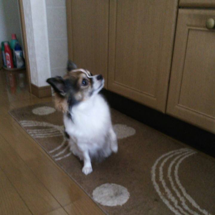 C2b664df 6a2b 484b 8a5b fab815d3f0d3