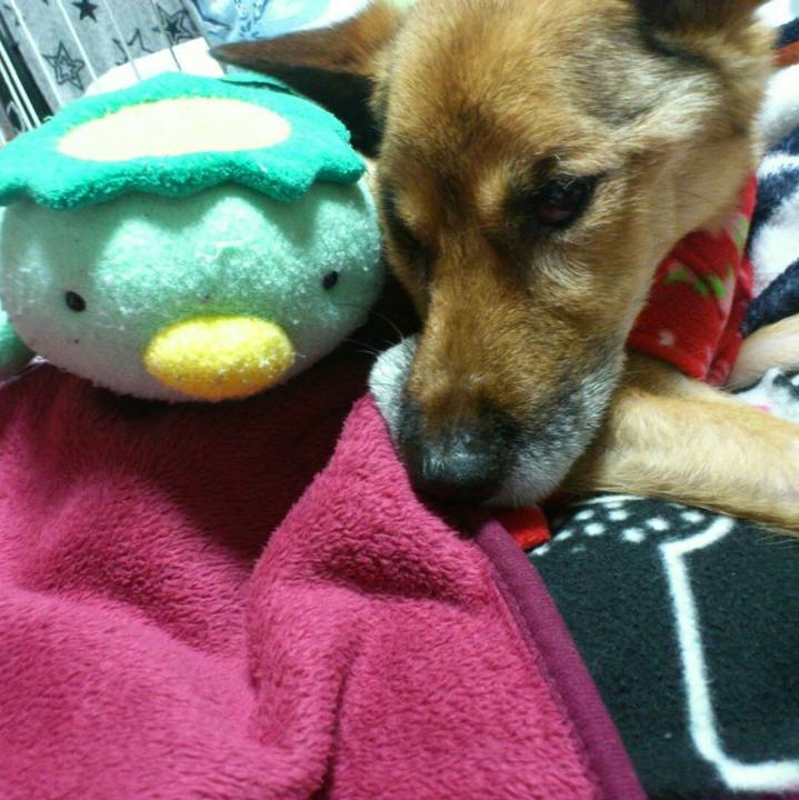 C2b6bce1 4bb6 4ea0 8a36 dcd5fdb1da2b