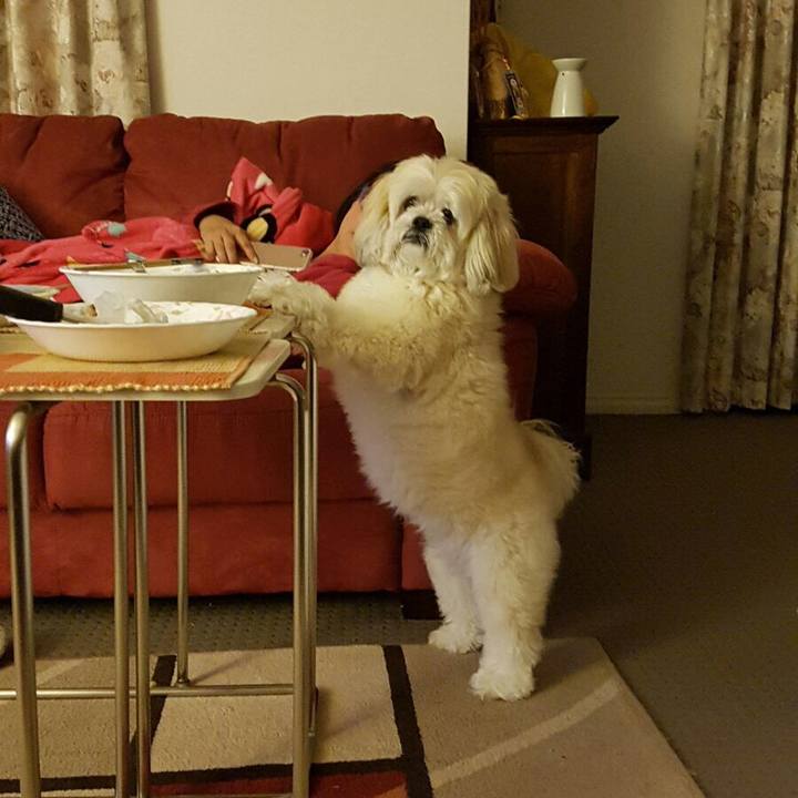 C2b6bea0 232f 43bb a117 9df978da472f