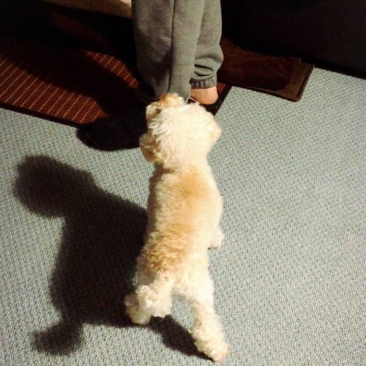 C2b6d8c5 ab75 4d2d 99c7 b2c6a43b8548