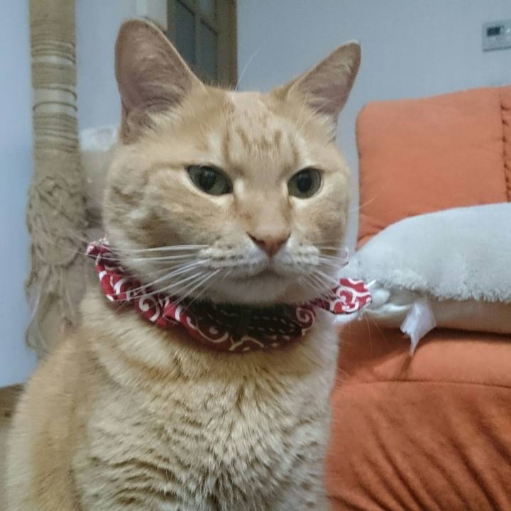 C2b6ea84 1cd4 420f a3e7 8be4704ee6a5