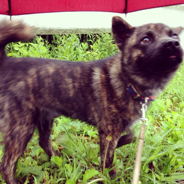 C2b7468c cfb9 47ec bf46 214265257a36