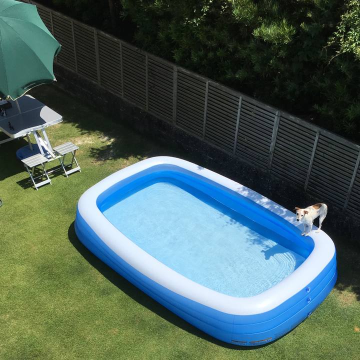 C2b800a5 e57d 466a 84f4 10a808ad8708