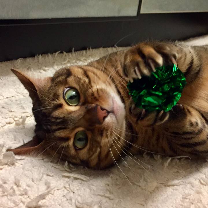 C2b82447 e099 4840 92ed 5de52157fa63