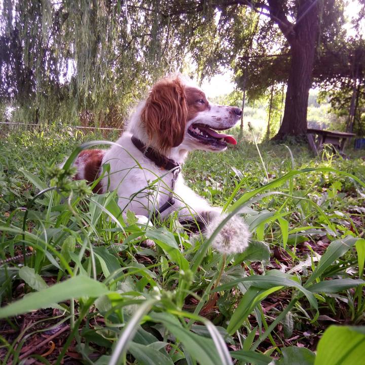 C2b88d88 f9e8 47ec a816 c24d72720d19