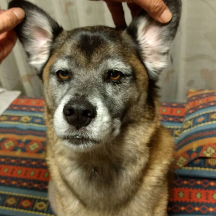 C2b8ba11 3096 417e 9d6d c462ea3644c9