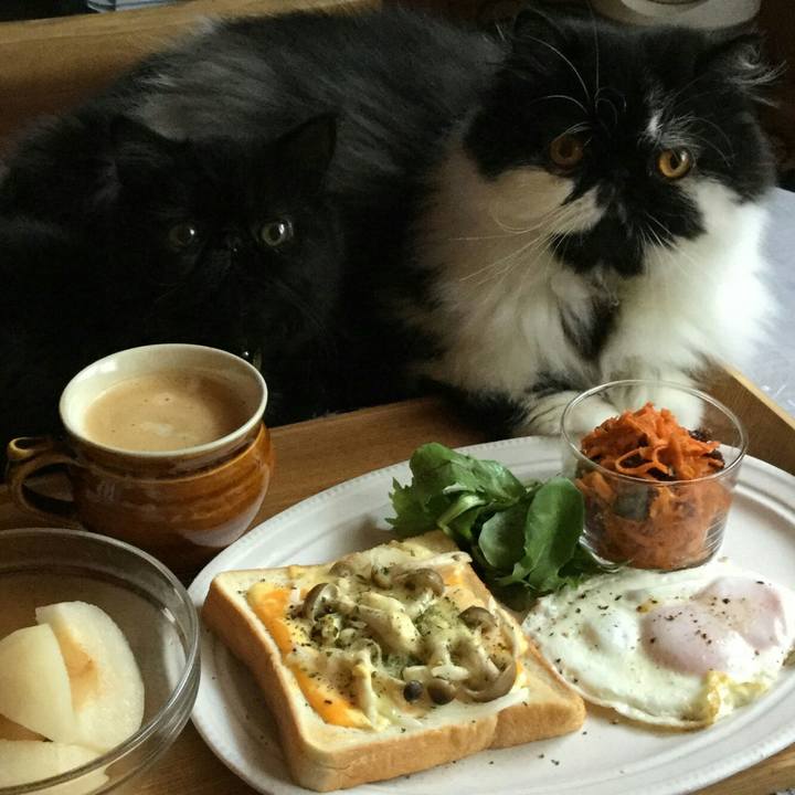 C2b8d39d cb4a 4941 813a de7e40577fd1