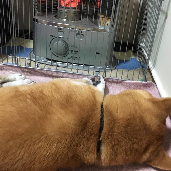 C2b944cf 3fe2 4623 810a 5d9db3019a96