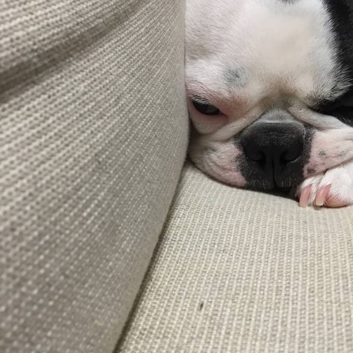 C2b99f5a 6a79 4d82 82a4 800f3dafa0c6