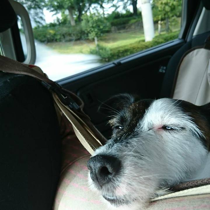 C2b9a7b8 4eab 4f95 98cf c9b876334855