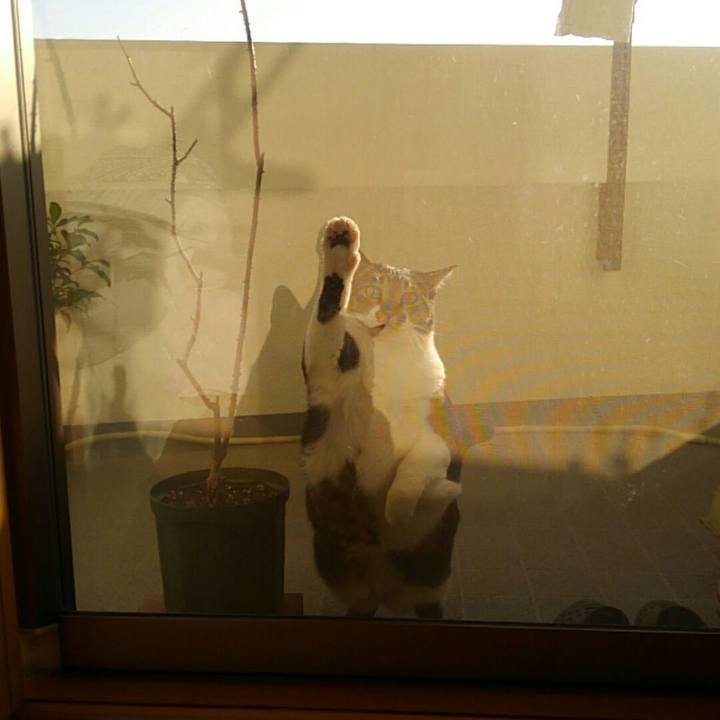 C2baded2 6fbd 4676 93e9 89032282d04b