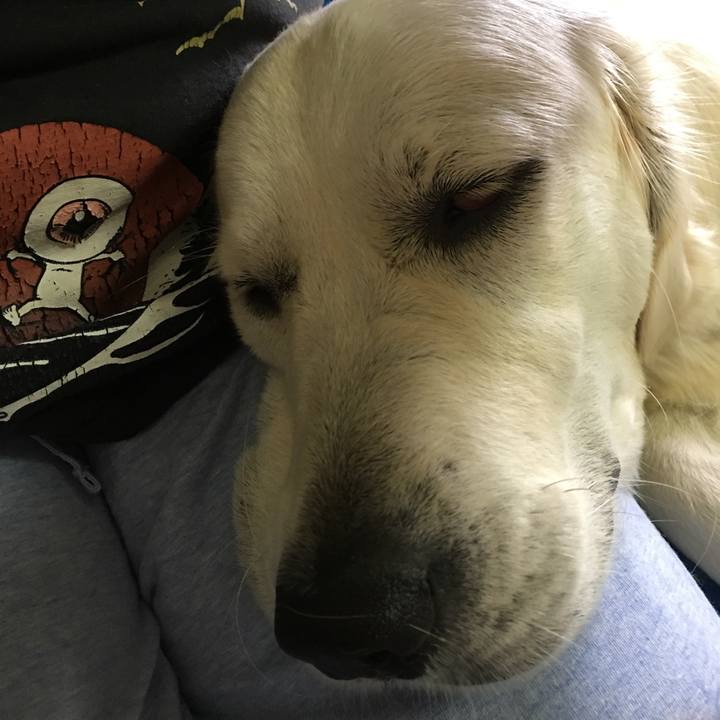 C2bb0667 145c 4fd8 8a7c 3514ddf2f974