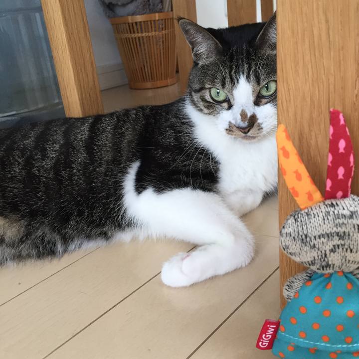 C2bb26a2 3596 4687 ab51 c144a4f72935