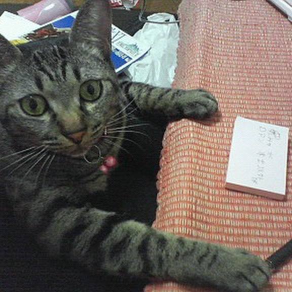 C2bbea1f 4c2c 4d30 b16d ce9b9ce50ef3