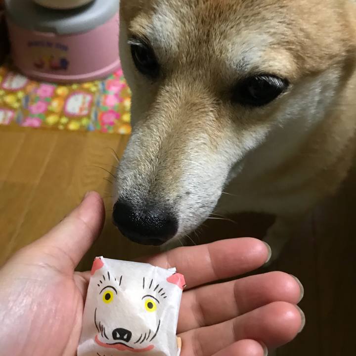 C2bc434d 4b37 4d67 80f0 ebaa54a7e1aa